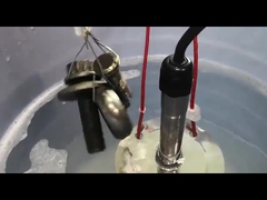 Nettoyeur à ultrasons submersible en acier inoxydable Fréquence 40 KHz Pour la rouille des armes à feu